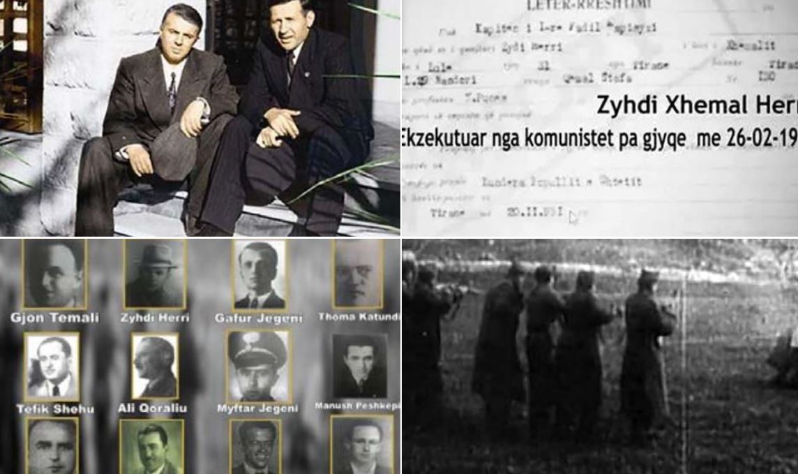 zyhdiHERRI